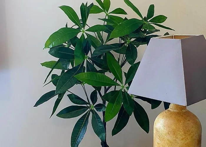 Apartment Au Calme Vue Montagne 